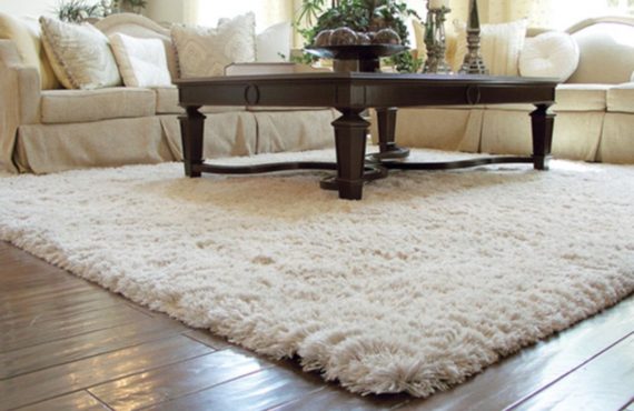 Area Rugs Dealer Jaipur